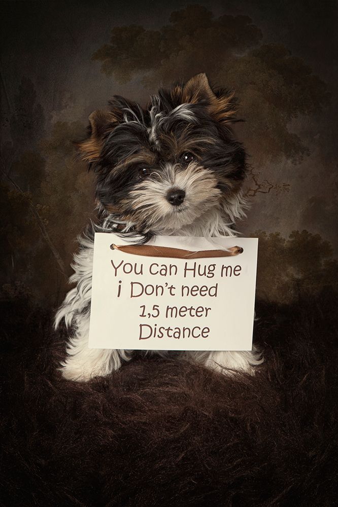 Need I say more art print by Carola Kayen-Mouthaan for $57.95 CAD