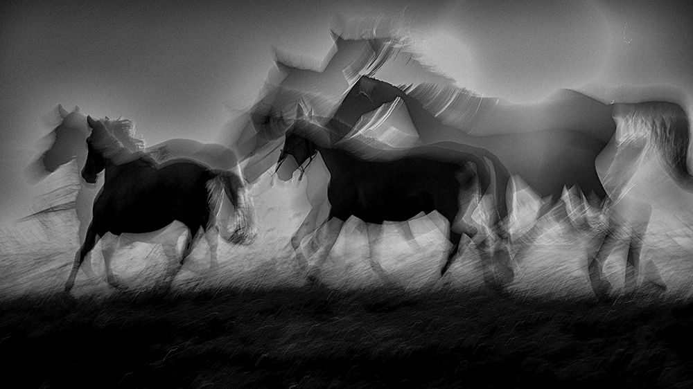 silhouettes of energy art print by Milan Malovrh for $57.95 CAD