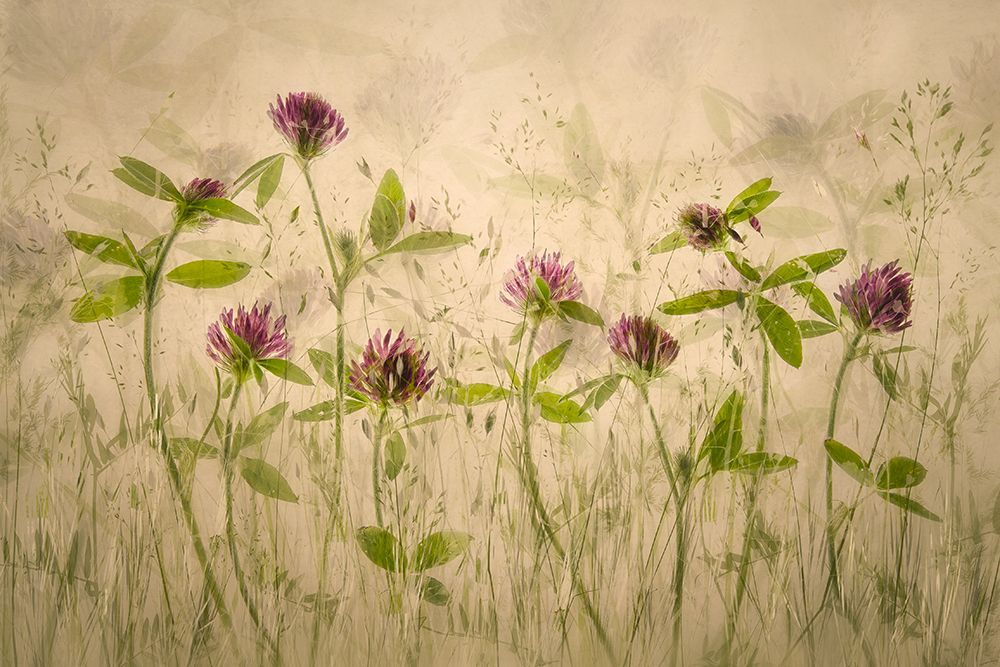 Old luky times art print by Nel Talen for $57.95 CAD