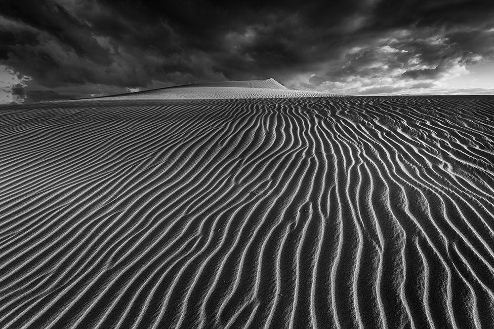 Lines Of Life.... art print by Miguel Pascual for $57.95 CAD