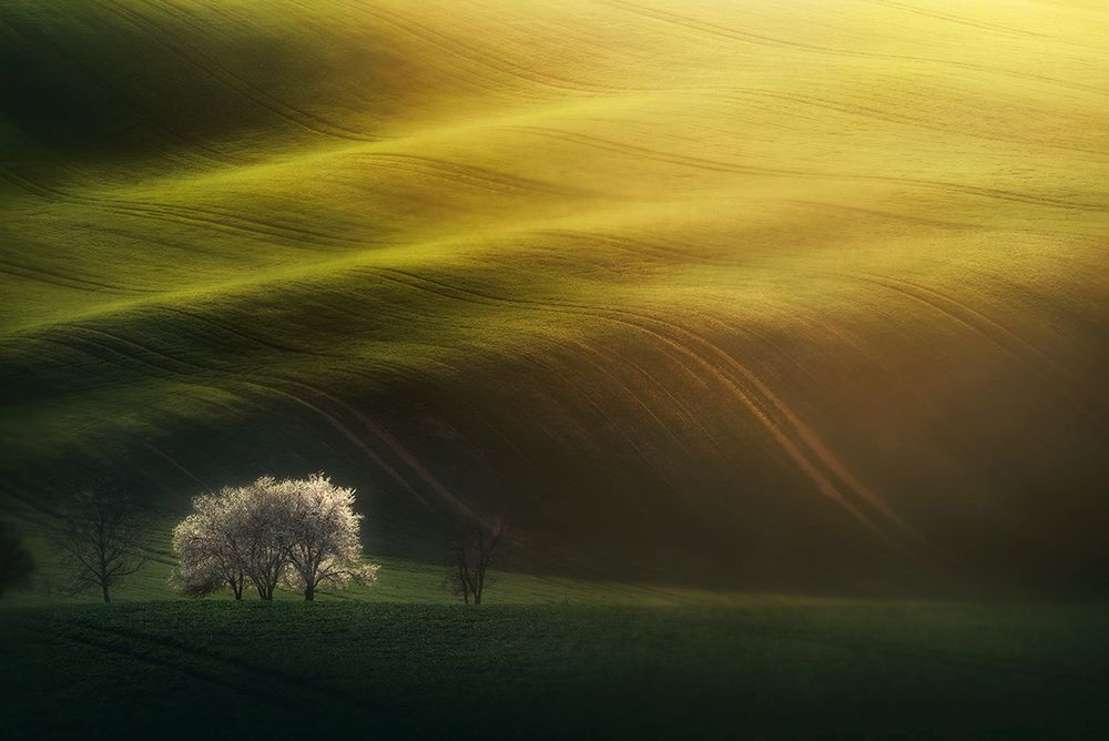 Last rays art print by Grzegorz Lewandowski for $57.95 CAD