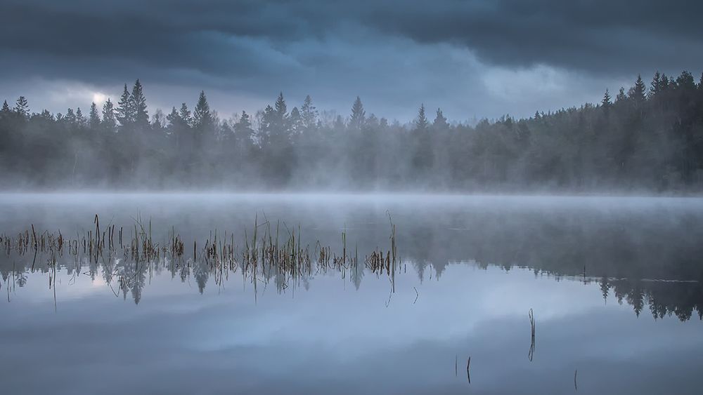 The morning fog art print by Benny Pettersson for $57.95 CAD