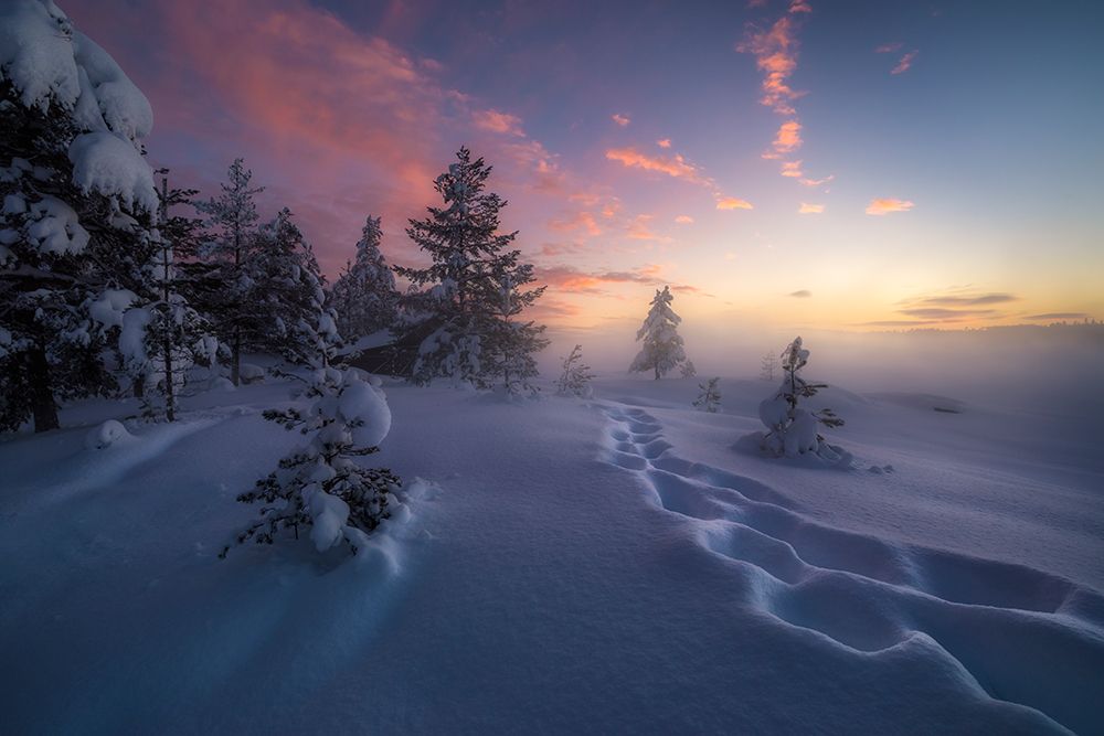 Winter Steps art print by Ole Henrik Skjelstad for $57.95 CAD
