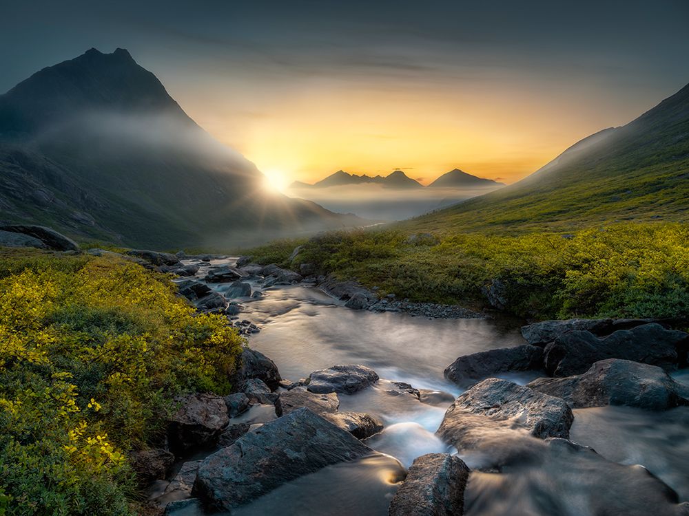Dreaming art print by Ole Henrik Skjelstad for $57.95 CAD