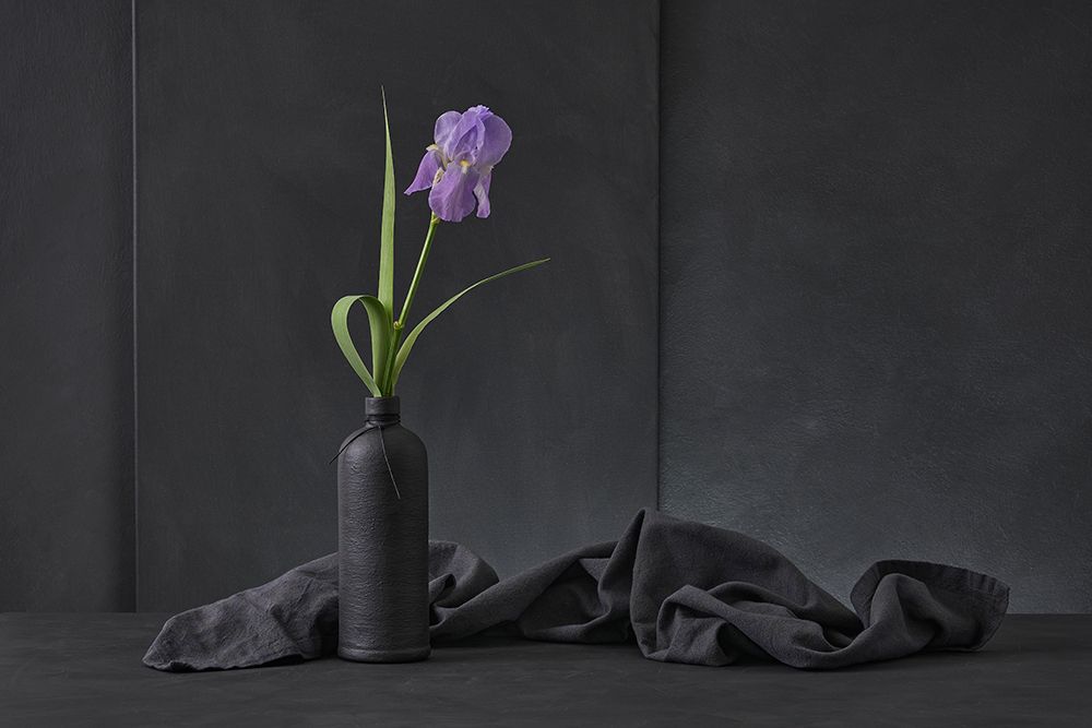 Iris Pallida art print by Christophe Verot for $57.95 CAD
