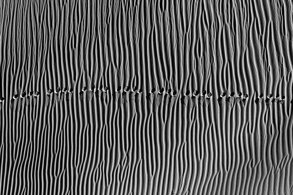 Untitled art print by Mohammadreza Momeni for $57.95 CAD