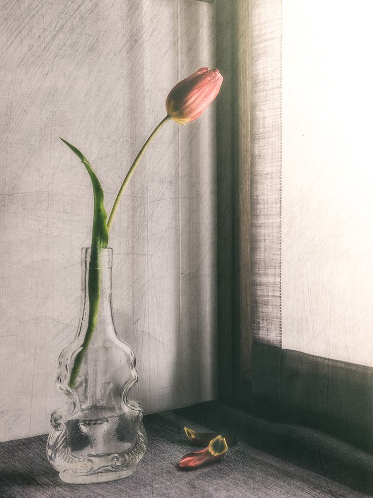 Melanchonic Mood art print by Cristiano Giani for $57.95 CAD