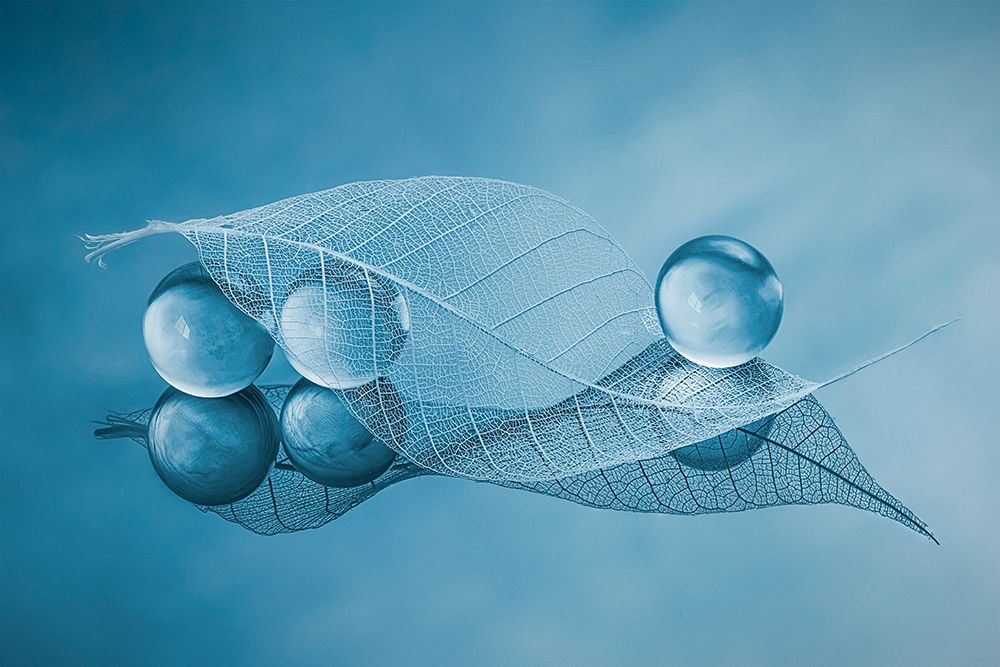 Dry Leaf And Bubbles art print by Lydia Jacobs for $57.95 CAD