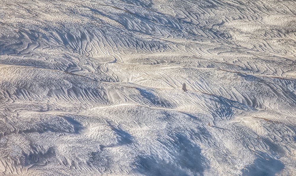 Facing the winds art print by Peter Svoboda for $57.95 CAD