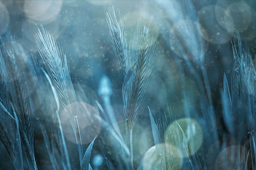 Fantastic Nature art print by Cicek Kiral for $57.95 CAD