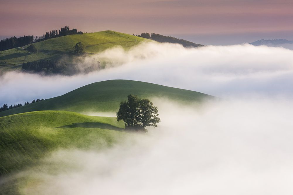 Green Hills art print by Burger Jochen for $57.95 CAD