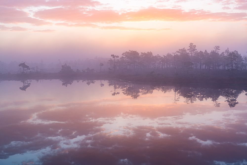 Pink Morning art print by Eriks Zilbalodis for $57.95 CAD