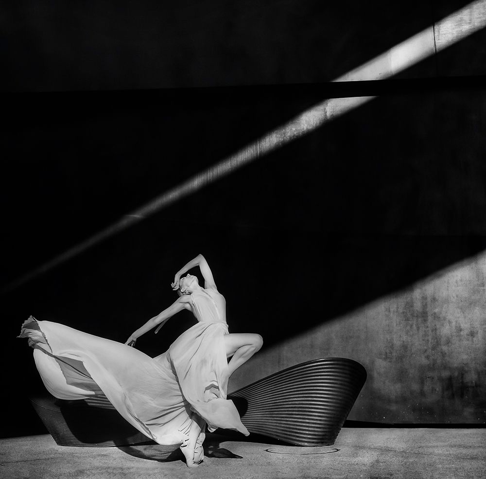 Dancing With The Light art print by Rachel Pansky for $57.95 CAD