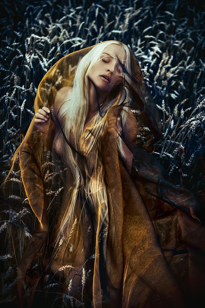 Fields Of Gold art print by Ruslan Bolgov (Axe) for $57.95 CAD