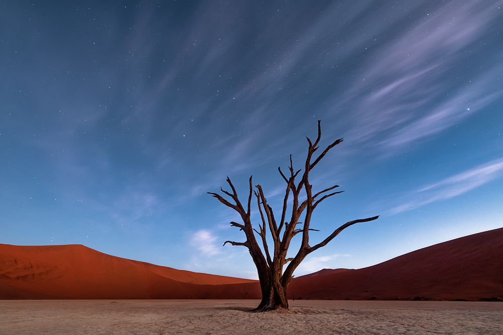 Deadvlei At Dusk art print by Luigi Ruoppolo for $57.95 CAD