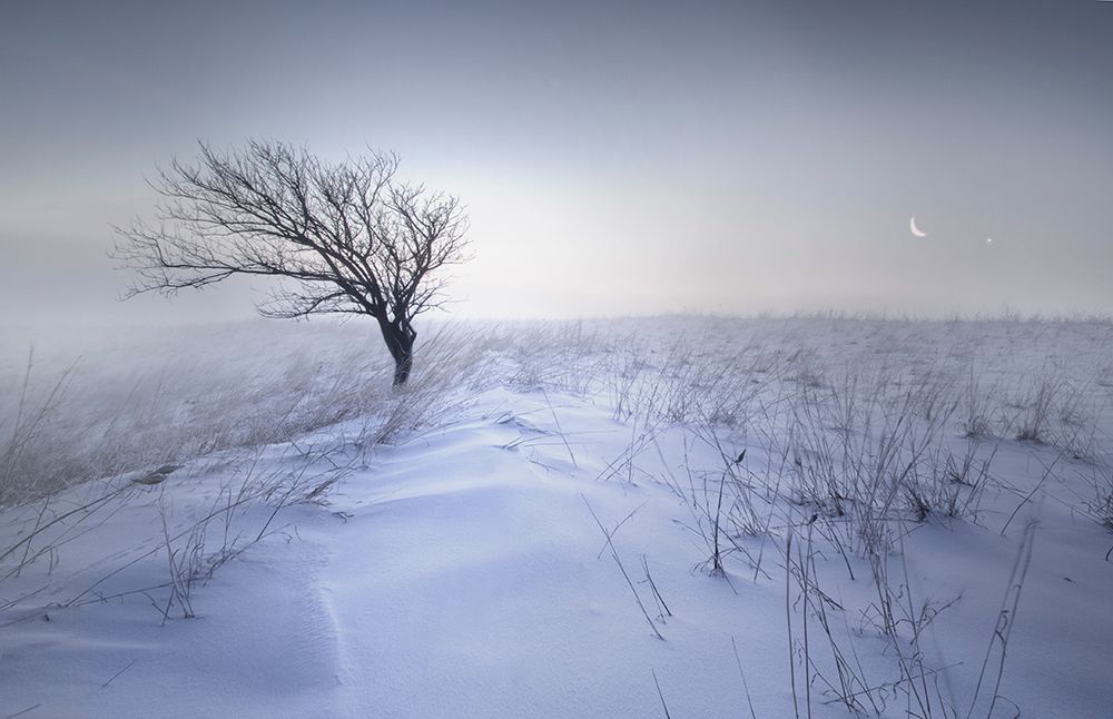Leaning in art print by Andy Linkhart for $57.95 CAD