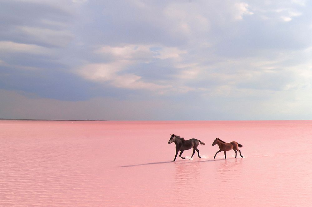 Pink Salt Lake art print by Suleyman Uzumcu for $57.95 CAD