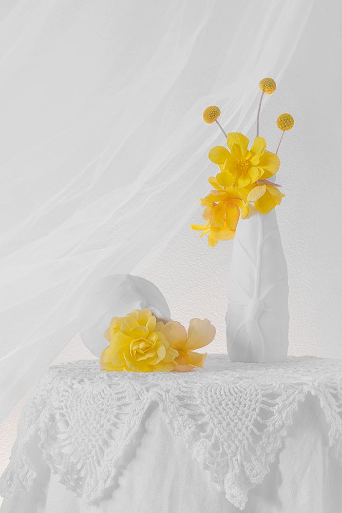 A Bright Day art print by Lydia Jacobs for $57.95 CAD