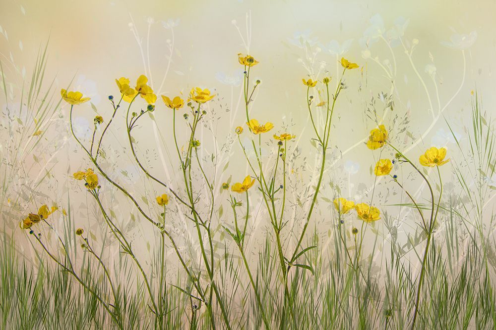 Good Morning! art print by Nel Talen for $57.95 CAD