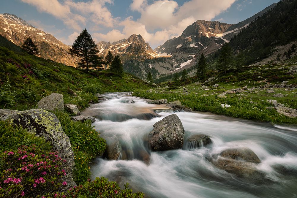 Maritime Alps Park art print by Paolo Bolla for $57.95 CAD