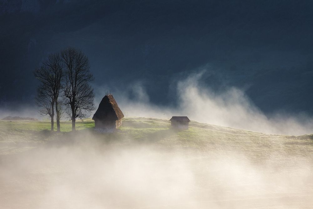 Magic Mornings art print by Lazar Ioan Ovidiu for $57.95 CAD