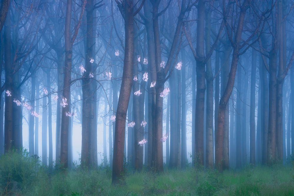 Fairyland II art print by Jingshu Zhu for $57.95 CAD