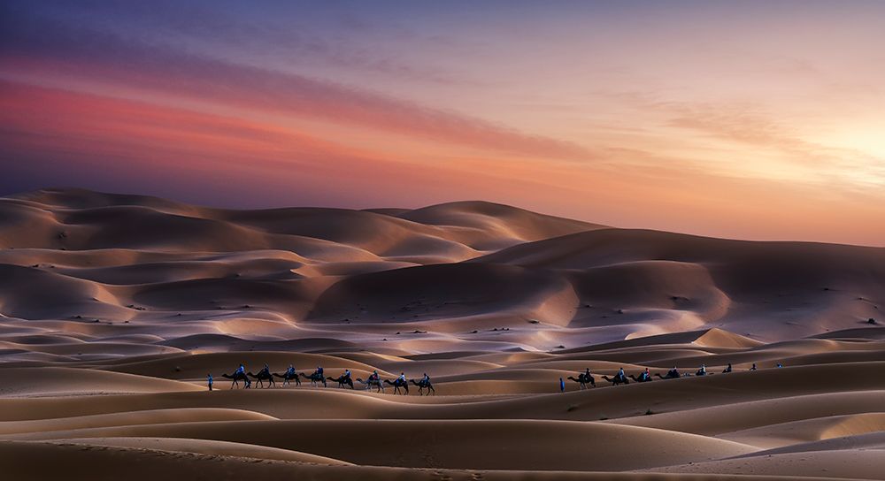 Caravan in Erg Chebbi art print by Jorge Ruiz Dueso for $57.95 CAD