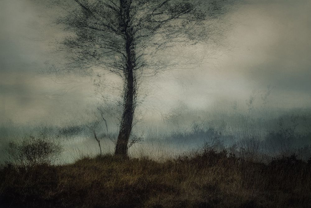 Silent art print by Nel Talen for $57.95 CAD