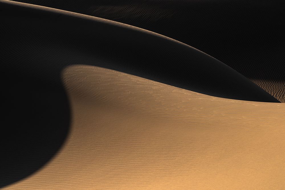 The Desert Ii art print by Hamid Jamshidian for $57.95 CAD