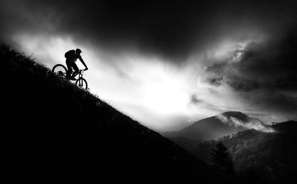 Sunrise Ride art print by Sandi Bertoncelj for $57.95 CAD