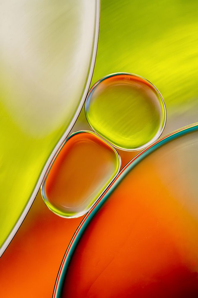 Oil art print by Mandy Disher for $57.95 CAD