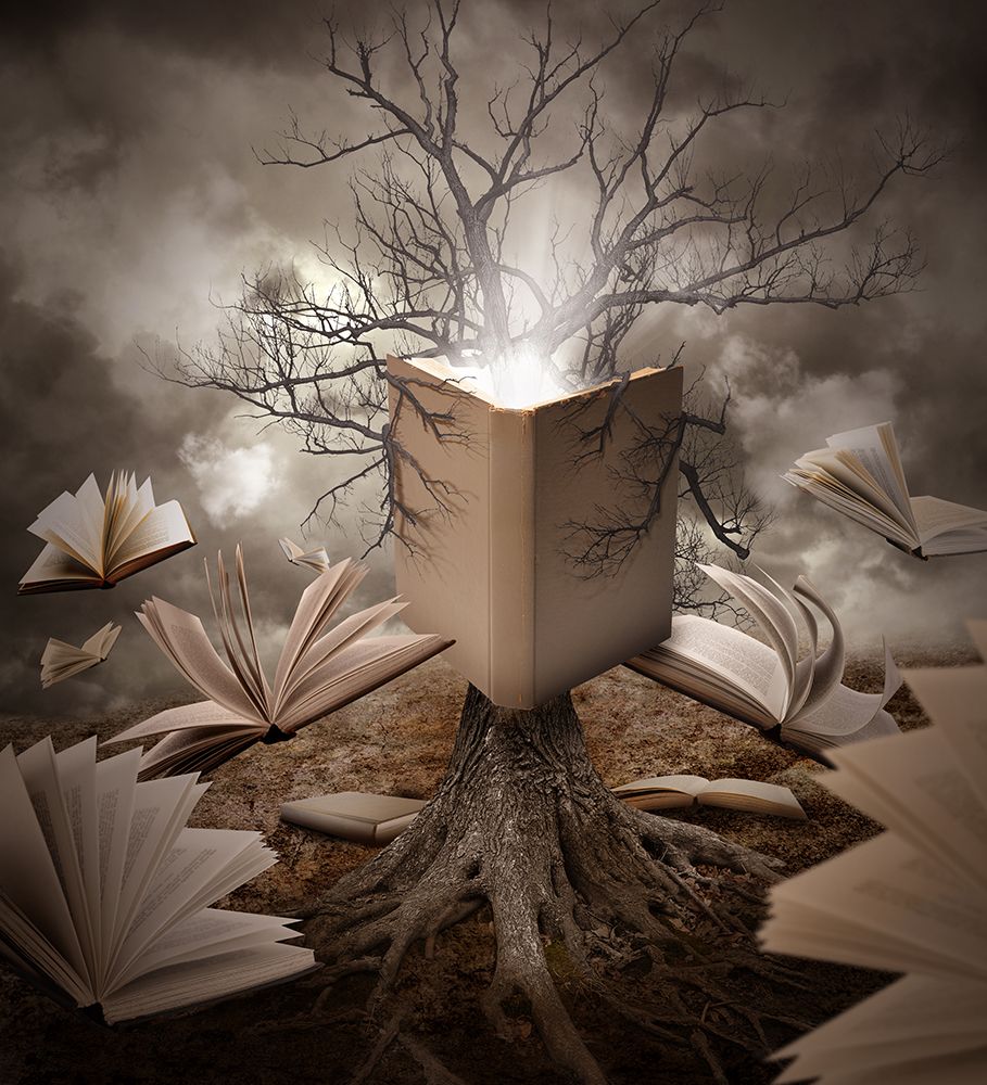 Old Tree Reading Story Book art print by Angela Waye for $57.95 CAD