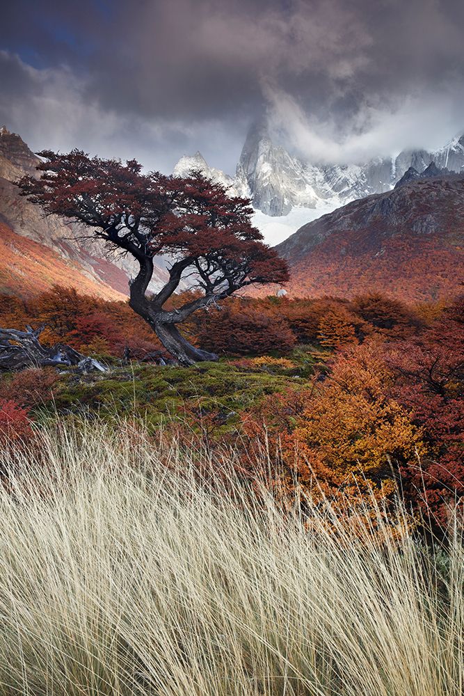 Mists of time art print by Andrea Pozzi for $57.95 CAD