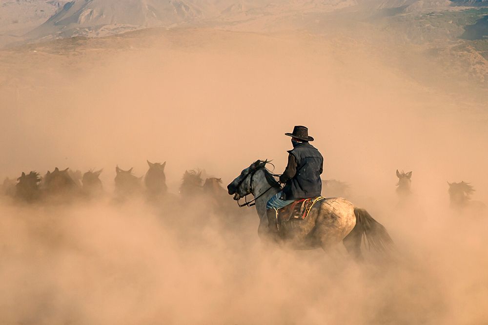 cowboy art print by Zuhdu Bilgin for $57.95 CAD