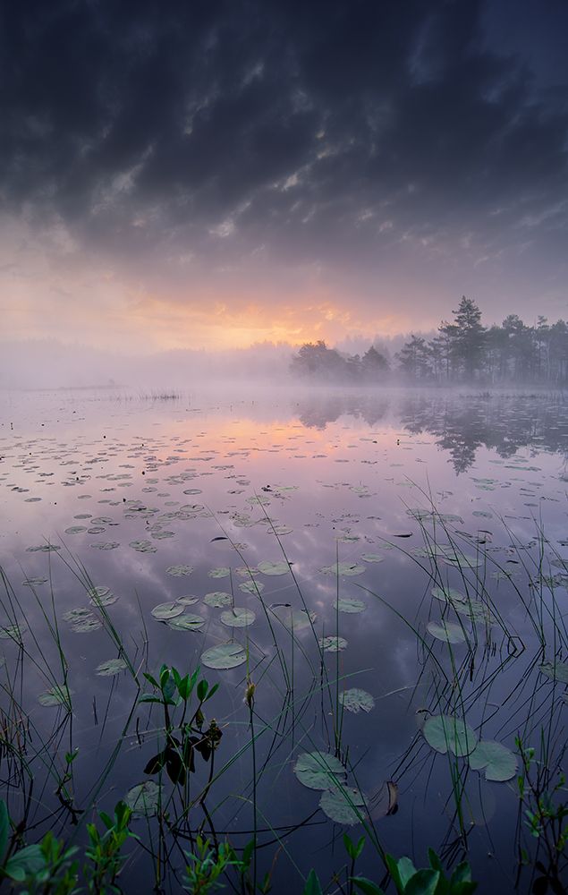 One morning I woke up art print by Benny Pettersson for $57.95 CAD