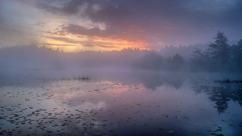 Goblin morning art print by Benny Pettersson for $57.95 CAD