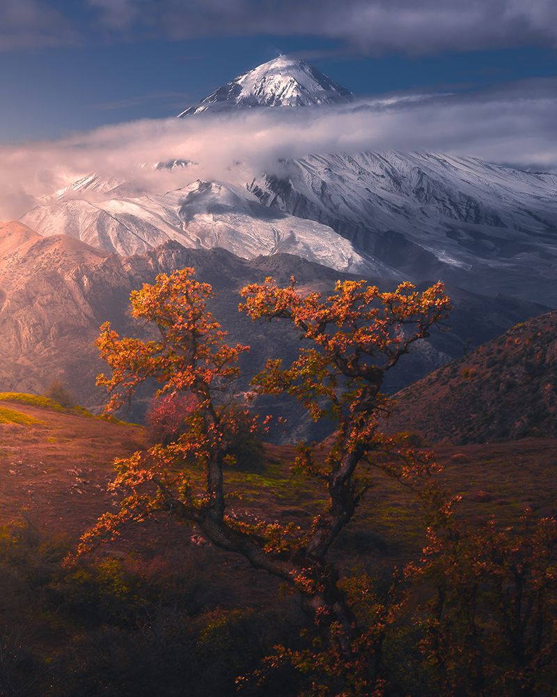 Autumnal Theme In Alborz Mountains art print by Majid Behzad for $57.95 CAD