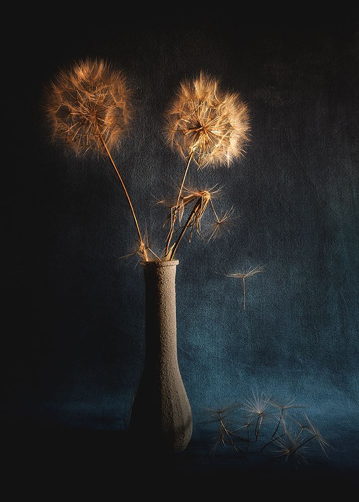 Untitled art print by Antonio Grambone for $57.95 CAD