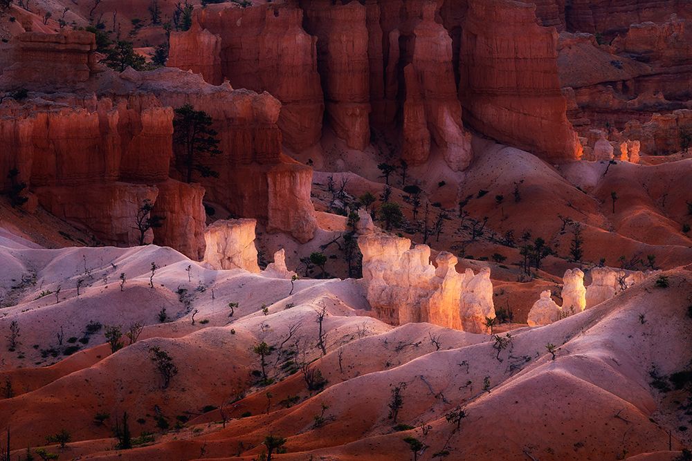 Canyon Light art print by Aidong Ning for $57.95 CAD