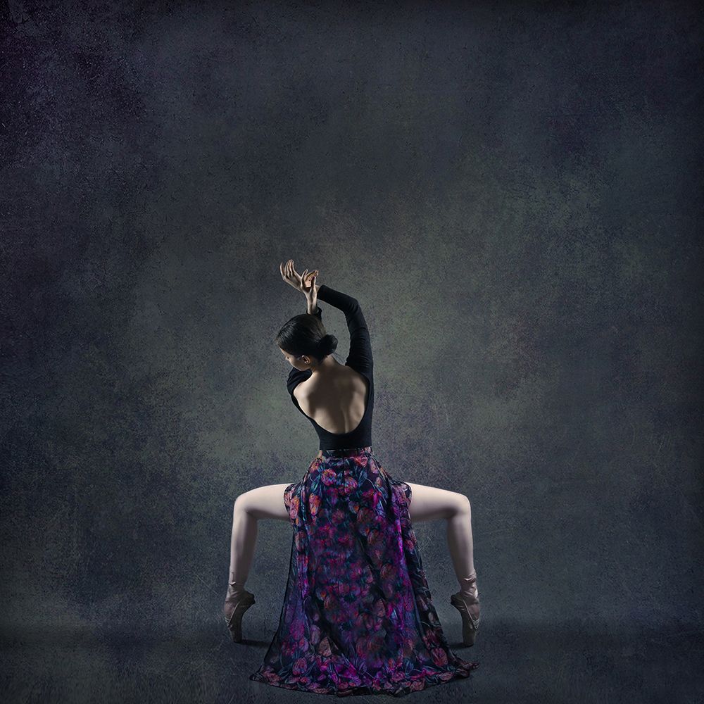 The Girl  A Dance art print by Moein Hasheminasab for $57.95 CAD
