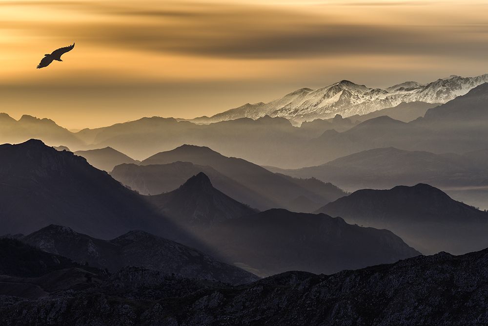 Layers art print by Juan I. Cuadrado for $57.95 CAD