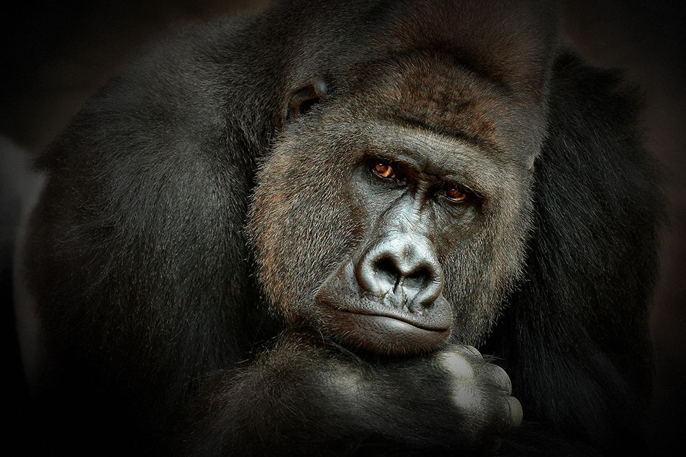 Peaceful Giant art print by Antje Wenner-Braun for $57.95 CAD