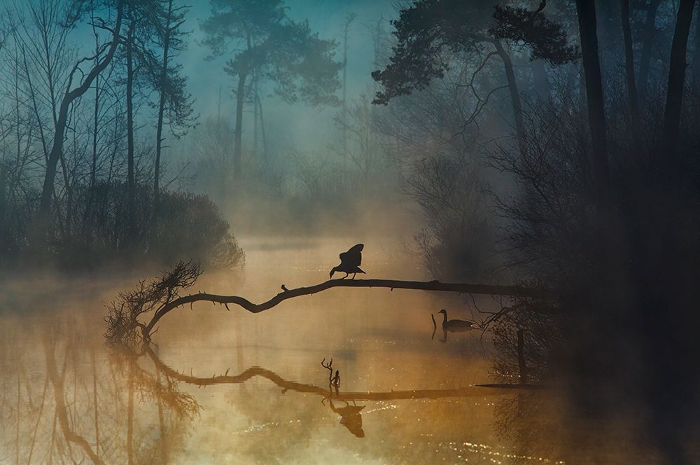 Blue Hour art print by Anton Van Dongen for $57.95 CAD