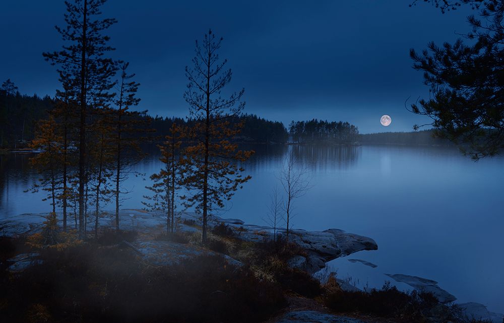 Night Mist art print by Nikki Georgieva V for $57.95 CAD