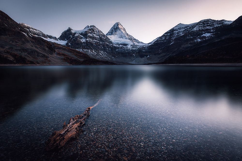 Dusk art print by Jason Ma for $57.95 CAD