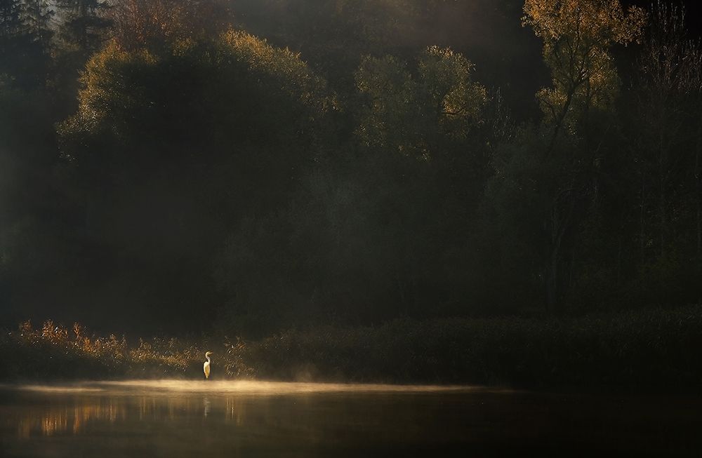 Down By The River art print by Norbert Maier for $57.95 CAD