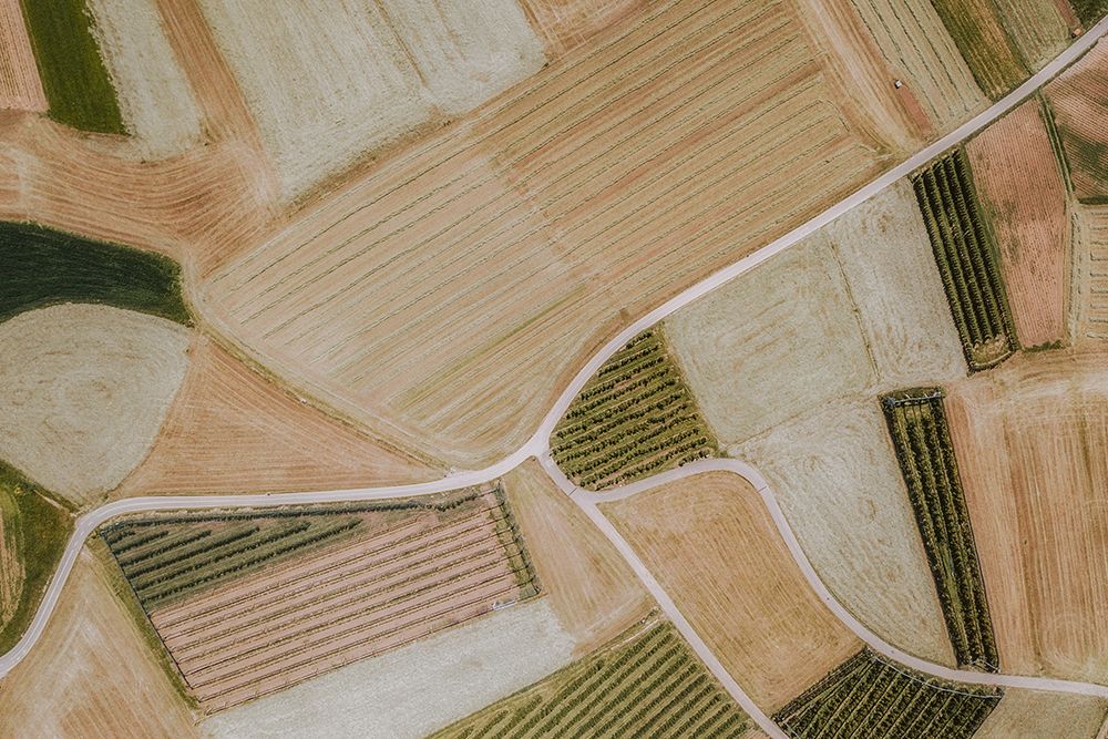 Summer fields art print by Paolo Crocetta for $57.95 CAD