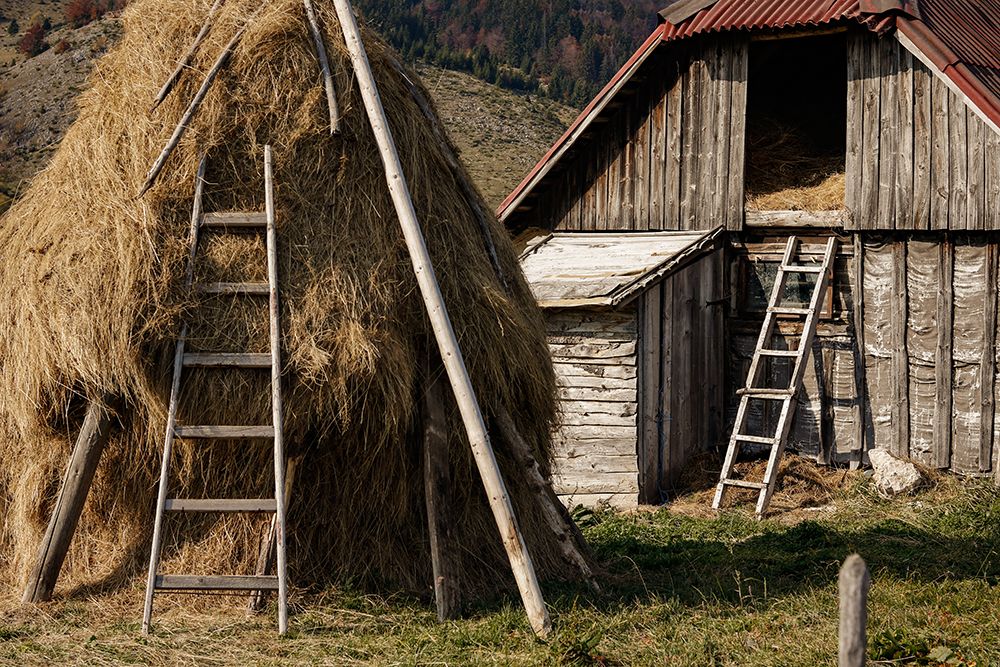 Rural art print by Madeline Jo for $57.95 CAD