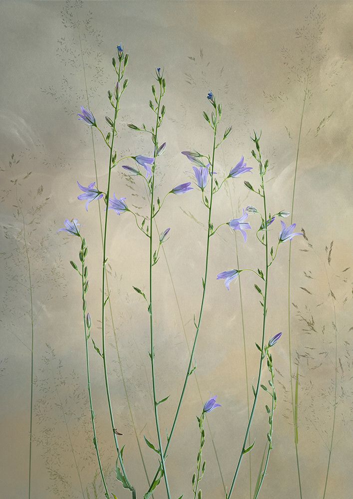 Lovely nature art print by Greetje van Son for $57.95 CAD