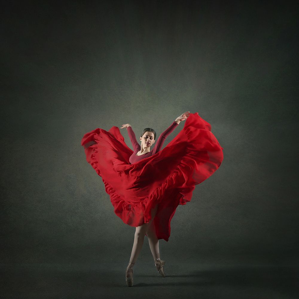 The Girl A Dance art print by Moein Hasheminasab for $57.95 CAD